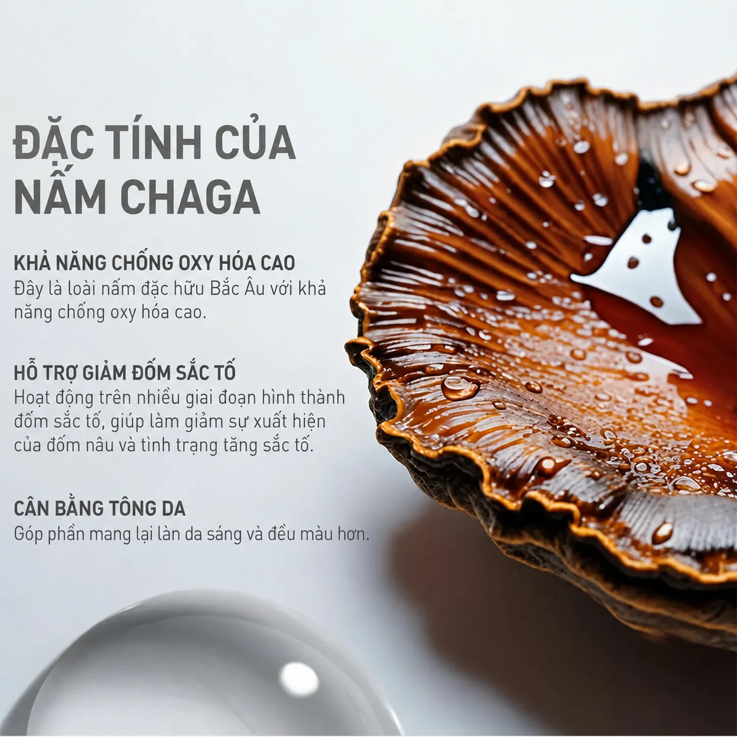 Ảnh thu nhỏ