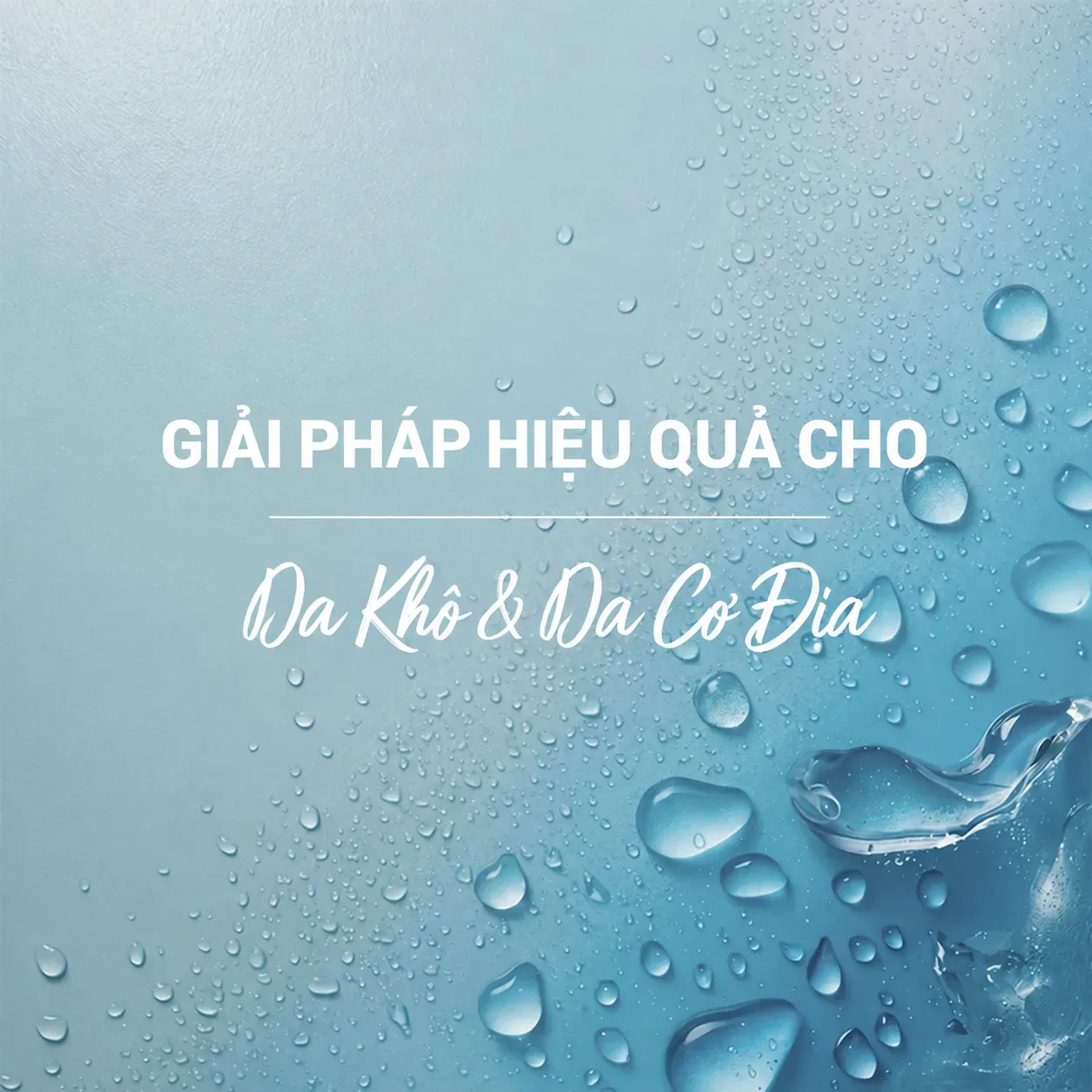 Ảnh thu nhỏ